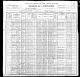 Dostal, Michael - 1900 Census.jpg