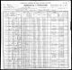 1900 U.S. census. Washington County, Georgia, population schedule, Riddleville, enumeration district 96