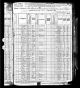 1880 U.S. census, Washington County, Georgia, population schedule, Riddleville, enumeration district 138, p. 384C 