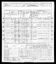 1950 U.S. census, Mahoning County, Ohio, population schedule, Youngstown, enumeration district 100-88, p. 17