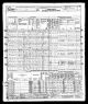 1950 U.S. census, Mahoning County, Ohio, population schedule, Youngstown, enumeration district 100-184, p. 15