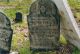 Cole, Betsey Lazel - Tombstone Inscription
